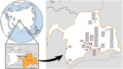 Salinity matters the most: How environmental factors shape the diversity and structure of cyanobacterial mat communities in high altitude arid ecosystems